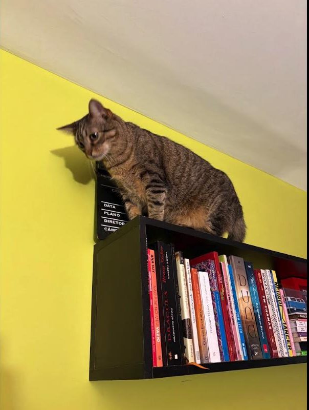 Nokia on top of a bookshelf against a yellow wall, looking down